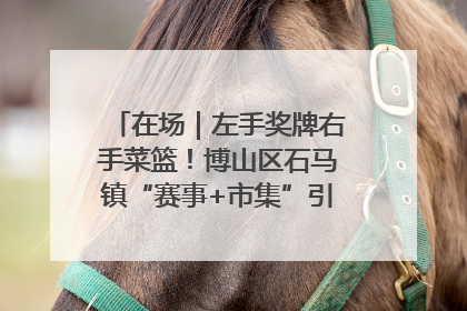 在场｜左手奖牌右手菜篮！博山区石马镇“赛事+市集”引燃周末经济