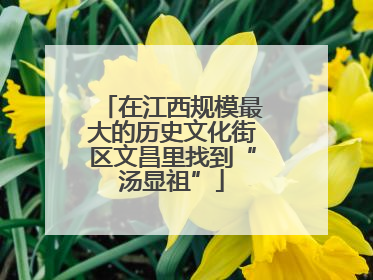 在江西规模最大的历史文化街区文昌里找到“汤显祖”