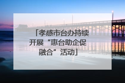 孝感市台办持续开展“惠台助企促融合”活动