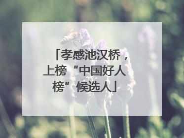 孝感池汉桥，上榜“中国好人榜”候选人