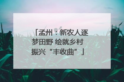 孟州：新农人逐梦田野 绘就乡村振兴“丰收曲”