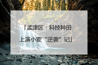 孟津区：科技种田 上演小麦“逆袭”记
