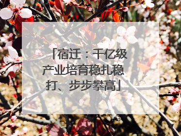 宿迁：千亿级产业培育稳扎稳打、步步攀高