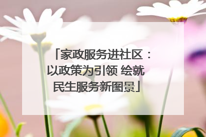 家政服务进社区：以政策为引领 绘就民生服务新图景