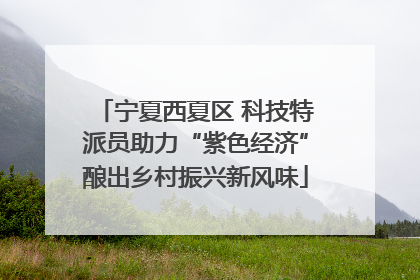 宁夏西夏区 科技特派员助力“紫色经济”酿出乡村振兴新风味