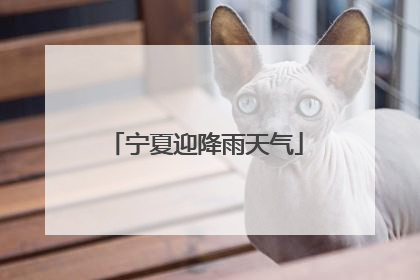 宁夏迎降雨天气