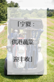 宁夏：供港蔬菜迎丰收
