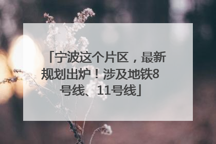 宁波这个片区，最新规划出炉！涉及地铁8号线、11号线