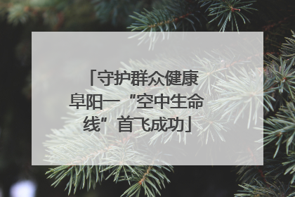 守护群众健康 阜阳一“空中生命线”首飞成功