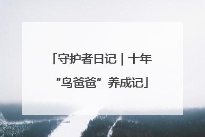 守护者日记｜十年“鸟爸爸”养成记