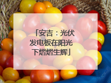 安吉：光伏发电板在阳光下熠熠生辉