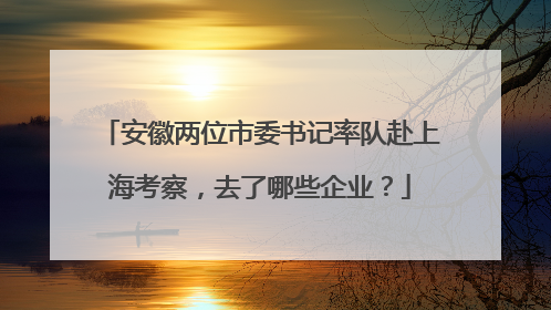 安徽两位市委书记率队赴上海考察，去了哪些企业？