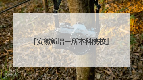 安徽新增三所本科院校