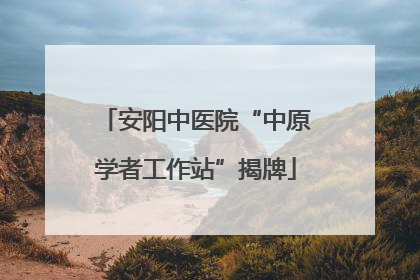 安阳中医院“中原学者工作站”揭牌