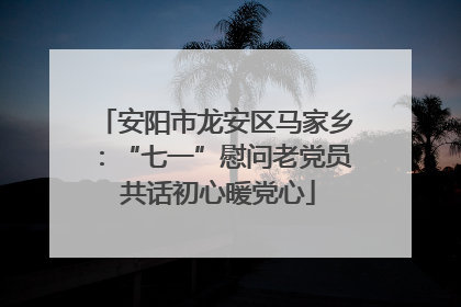 安阳市龙安区马家乡：“七一”慰问老党员 共话初心暖党心