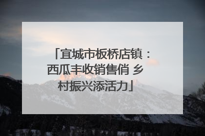 宜城市板桥店镇：西瓜丰收销售俏 乡村振兴添活力