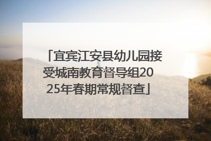 宜宾江安县幼儿园接受城南教育督导组2025年春期常规督查