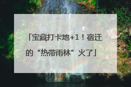 宝藏打卡地+1！宿迁的“热带雨林”火了