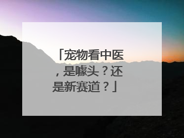 宠物看中医，是噱头？还是新赛道？