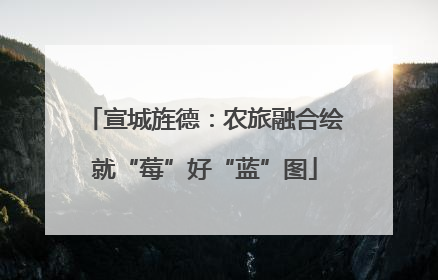 宣城旌德：农旅融合绘就“莓”好“蓝”图