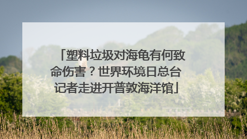 塑料垃圾对海龟有何致命伤害？世界环境日总台记者走进开普敦海洋馆