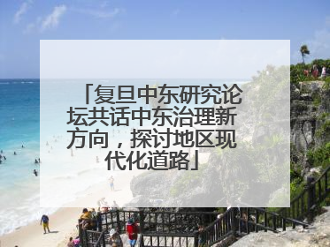 复旦中东研究论坛共话中东治理新方向，探讨地区现代化道路