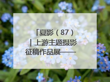 夏影（87）｜上游主题摄影征稿作品展——周社根作品