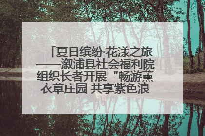 夏日缤纷·花漾之旅——溆浦县社会福利院组织长者开展“畅游薰衣草庄园 共享紫色浪漫”户外活动