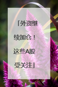 外资继续加仓！这些A股受关注