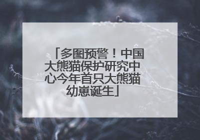多图预警！中国大熊猫保护研究中心今年首只大熊猫幼崽诞生