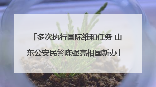 多次执行国际维和任务 山东公安民警陈强亮相国新办