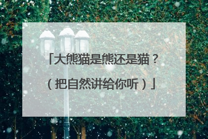 大熊猫是熊还是猫？（把自然讲给你听）