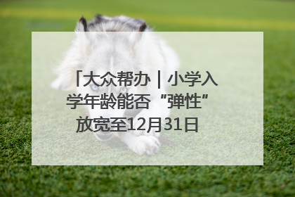 大众帮办｜小学入学年龄能否“弹性”放宽至12月31日？有地方已在探索