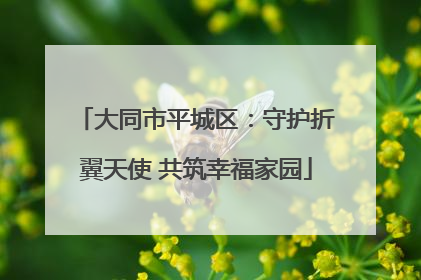 大同市平城区：守护折翼天使 共筑幸福家园