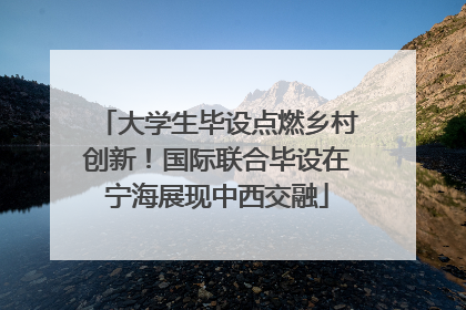 大学生毕设点燃乡村创新！国际联合毕设在宁海展现中西交融