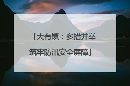 大有镇：多措并举筑牢防汛安全屏障