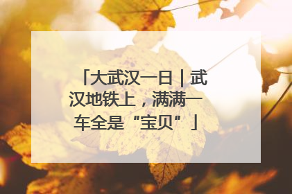 大武汉一日｜武汉地铁上，满满一车全是“宝贝”