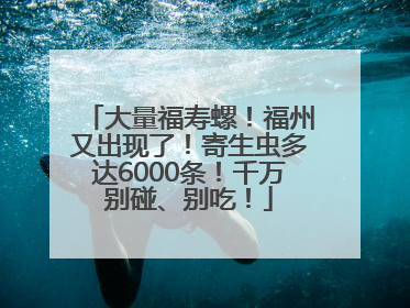 大量福寿螺！福州又出现了！寄生虫多达6000条！千万别碰、别吃！