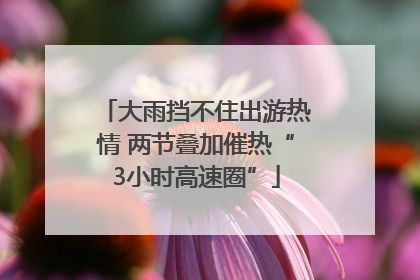 大雨挡不住出游热情 两节叠加催热“3小时高速圈”