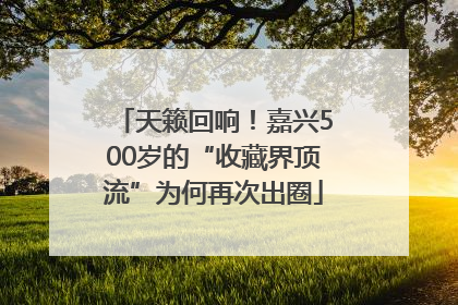 天籁回响！嘉兴500岁的“收藏界顶流”为何再次出圈