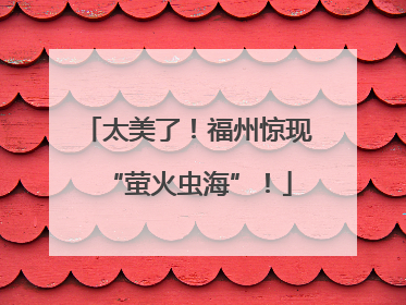 太美了！福州惊现“萤火虫海”！