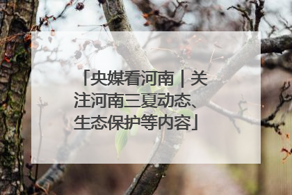 央媒看河南｜关注河南三夏动态、生态保护等内容
