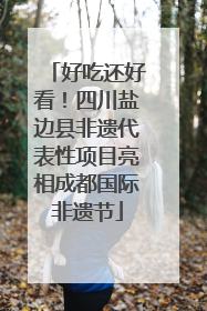 好吃还好看！四川盐边县非遗代表性项目亮相成都国际非遗节