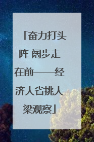 奋力打头阵 阔步走在前——经济大省挑大梁观察