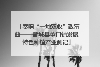 奏响“一地双收”致富曲——鄄城县董口镇发展特色种植产业侧记