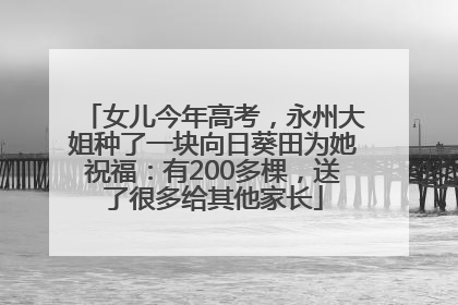 女儿今年高考，永州大姐种了一块向日葵田为她祝福：有200多棵，送了很多给其他家长