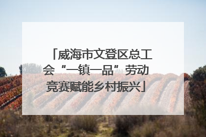 威海市文登区总工会“一镇一品”劳动竞赛赋能乡村振兴