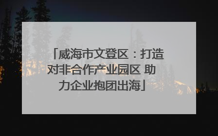 威海市文登区：打造对非合作产业园区 助力企业抱团出海