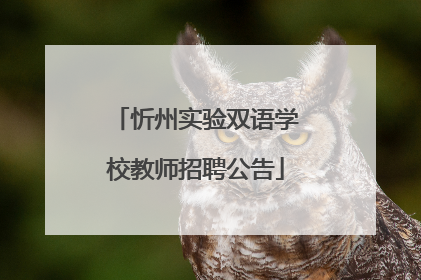 忻州实验双语学校教师招聘公告