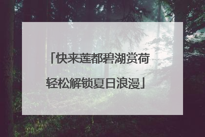 快来莲都碧湖赏荷 轻松解锁夏日浪漫